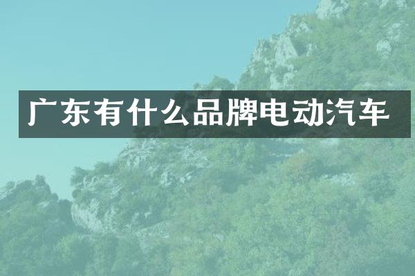 广东有什么品牌电动汽车