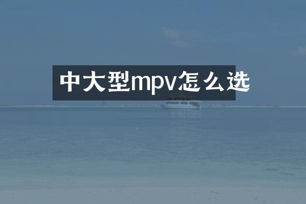 中大型mpv怎么选