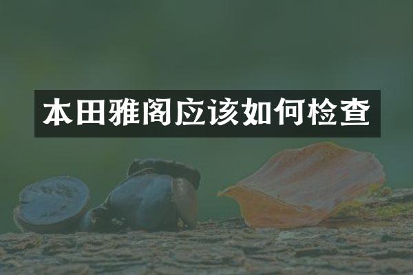 本田雅阁应该如何检查