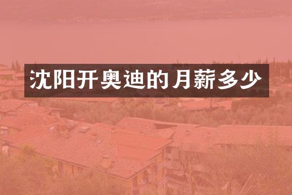 沈阳开奥迪的月薪多少