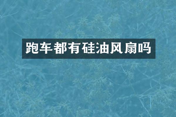 跑车都有硅油风扇吗