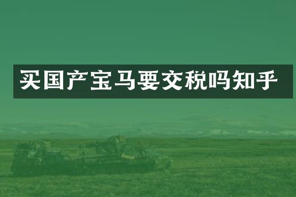 买国产宝马要交税吗知乎