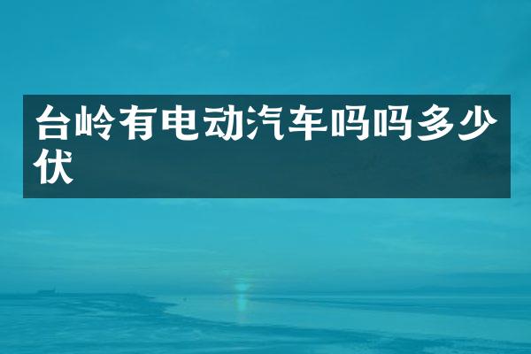 台岭有电动汽车吗吗多少伏