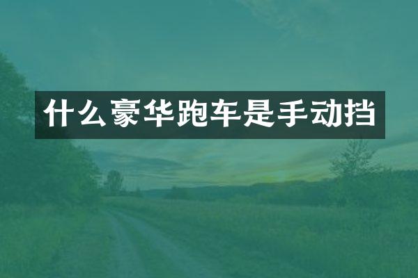 什么豪华跑车是手动挡