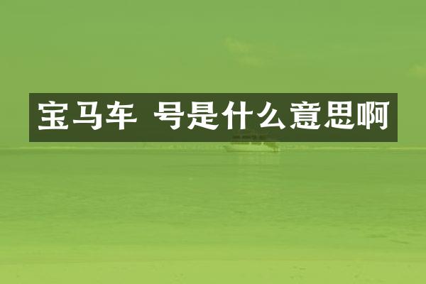 宝马车 号是什么意思啊