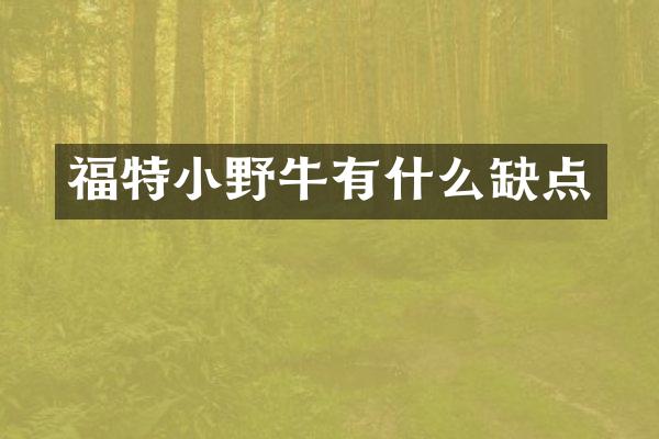 福特小野牛有什么缺点