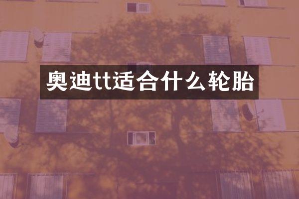 奥迪tt适合什么轮胎