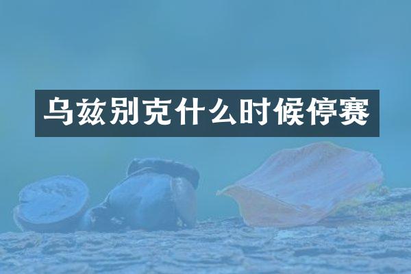 乌兹别克什么时候停赛
