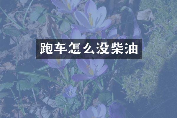 跑车怎么没柴油