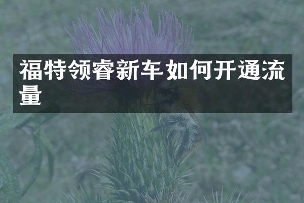 福特领睿新车如何开通流量