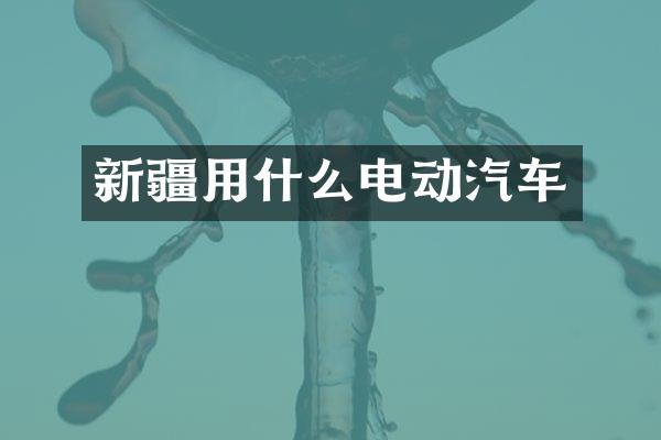 新疆用什么电动汽车