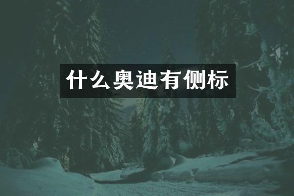 什么奥迪有侧标