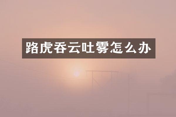 路虎吞云吐雾怎么办