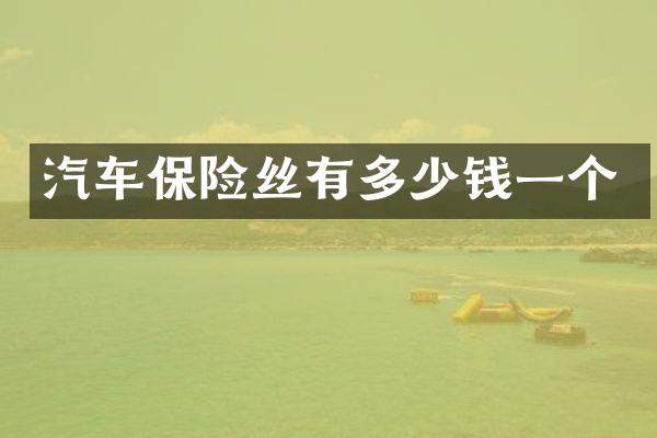 汽车保险丝有多少钱一个