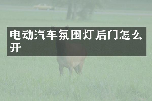 电动汽车氛围灯后门怎么开