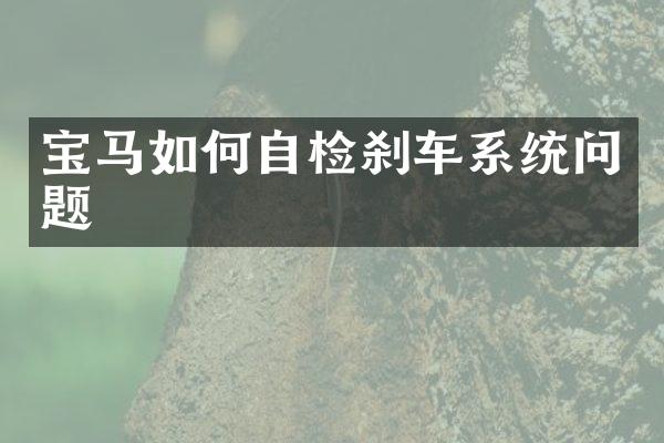 宝马如何自检刹车系统问题