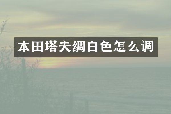 本田塔夫绸白色怎么调