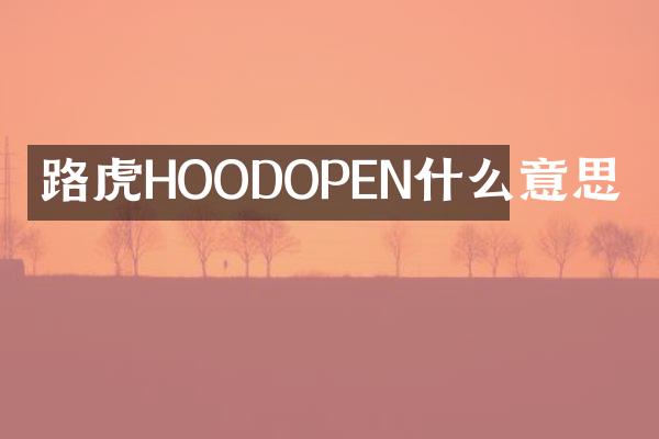 路虎HOODOPEN什么意思