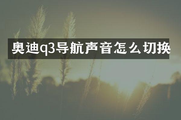 奥迪q3导航声音怎么切换