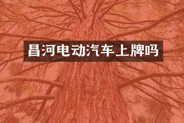 昌河电动汽车上牌吗