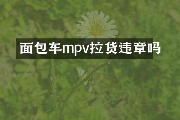 面包车mpv拉货违章吗