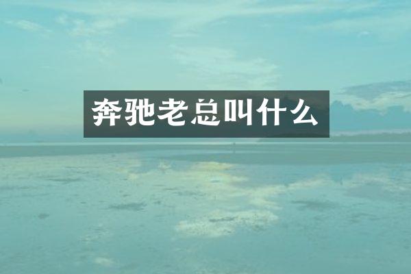 奔驰老总叫什么