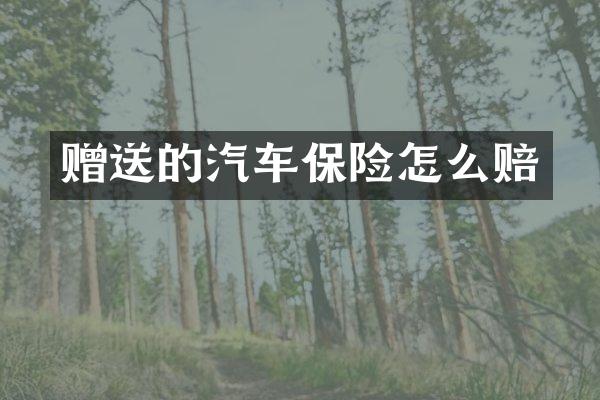 赠送的汽车保险怎么赔