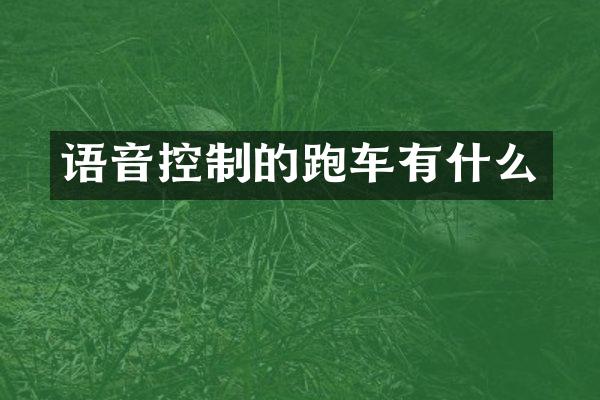 语音控制的跑车有什么