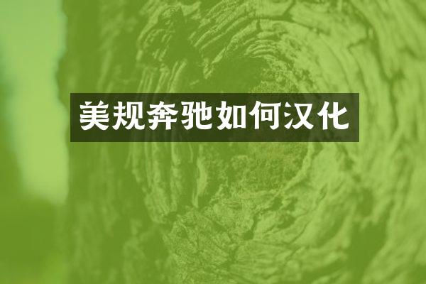 美规奔驰如何汉化