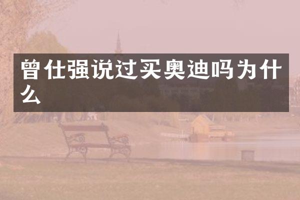 曾仕强说过买奥迪吗为什么