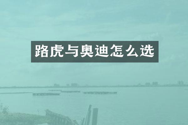 路虎与奥迪怎么选