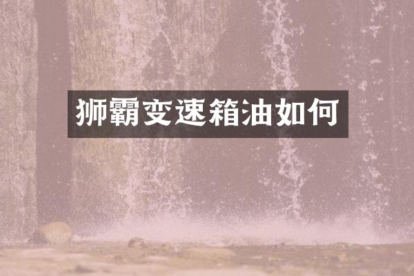 狮霸变速箱油如何