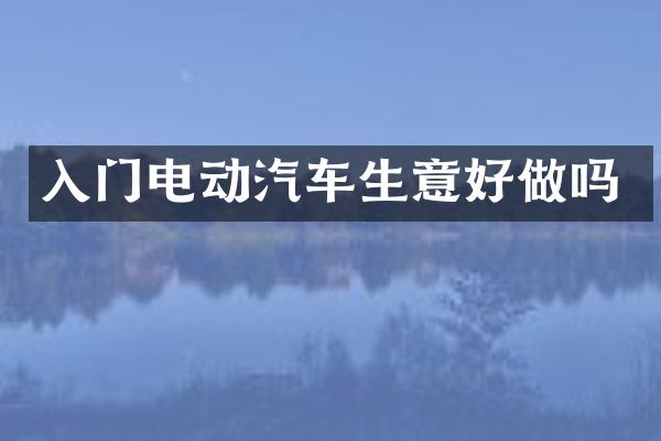 入门电动汽车生意好做吗