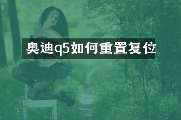 奥迪q5如何重置复位