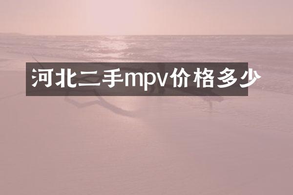 河北二手mpv价格多少