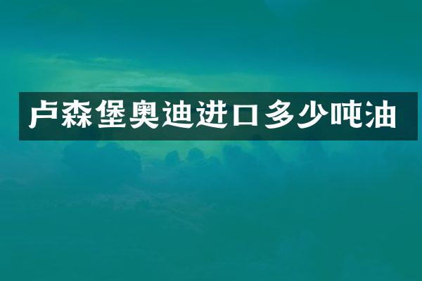 卢森堡奥迪进口多少吨油