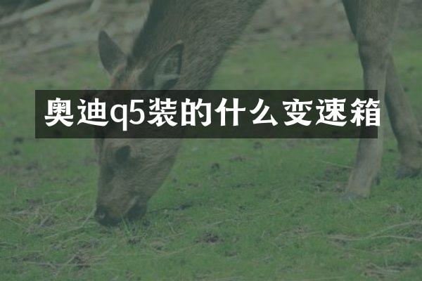 奥迪q5装的什么变速箱