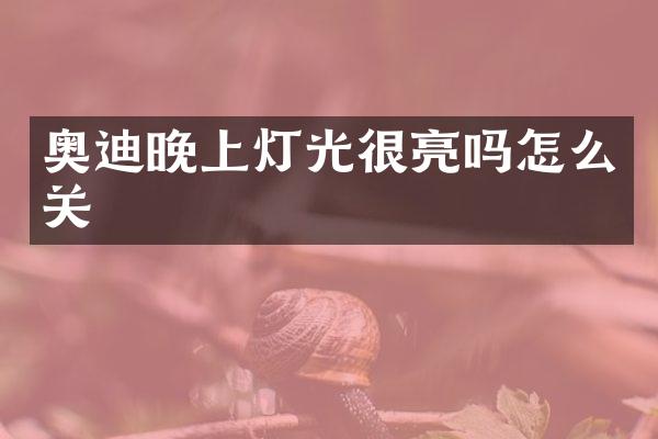 奥迪晚上灯光很亮吗怎么关