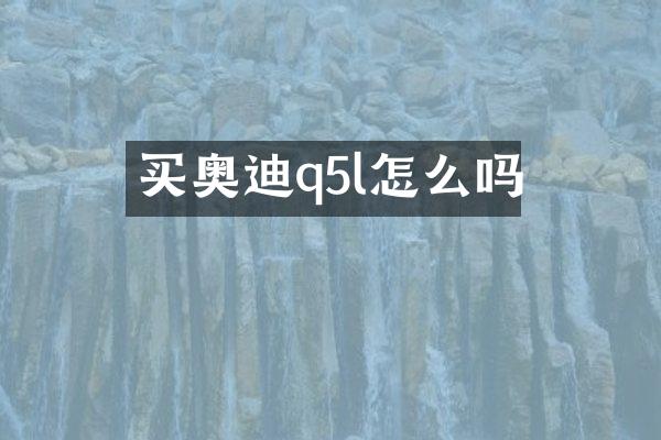 买奥迪q5l怎么吗