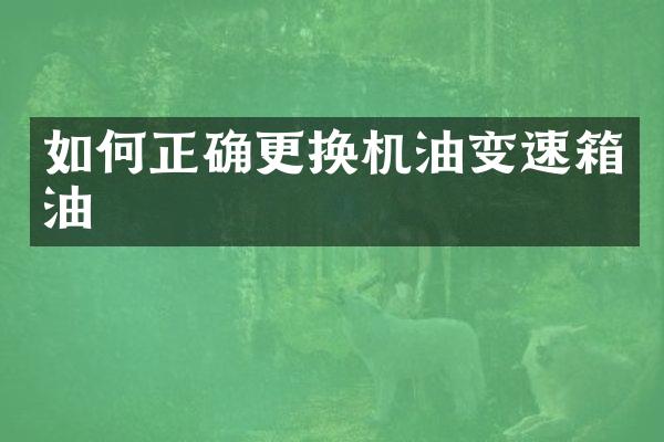 如何正确更换机油变速箱油