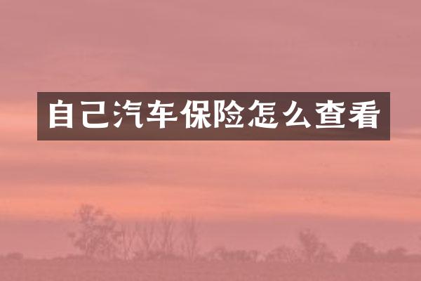 自己汽车保险怎么查看