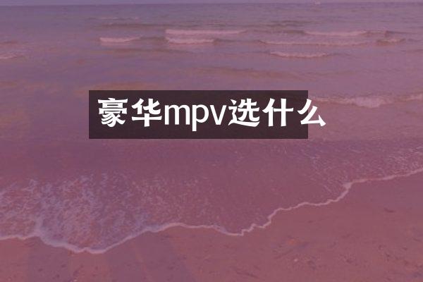 豪华mpv选什么