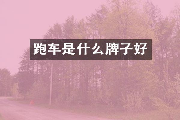 跑车是什么牌子好