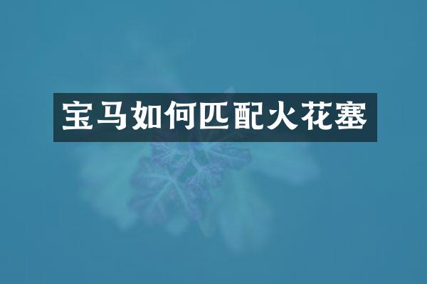宝马如何匹配火花塞