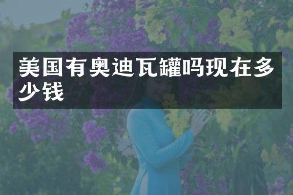 美国有奥迪瓦罐吗现在多少钱