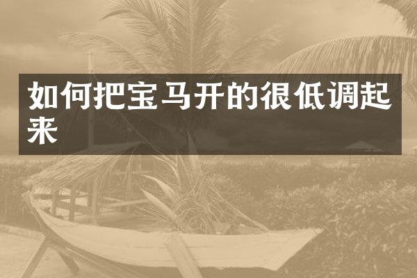 如何把宝马开的很低调起来