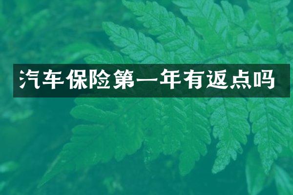 汽车保险第一年有返点吗