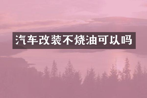 汽车改装不烧油可以吗