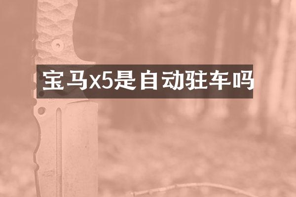 宝马x5是自动驻车吗