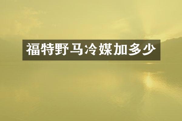 福特野马冷媒加多少